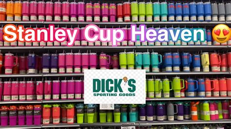 dicks stanley|dick's stanley cup 19.99.